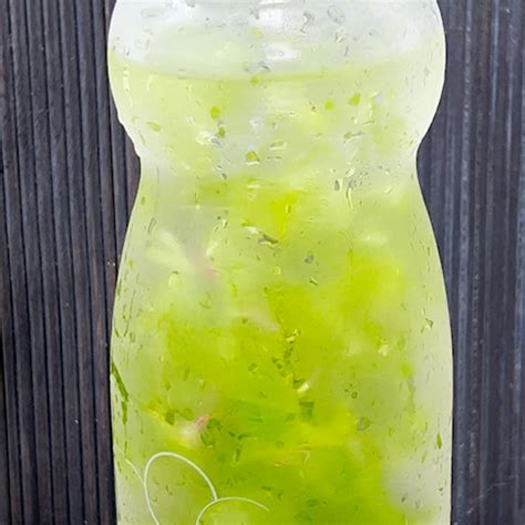 Mint Infused Water Recipe