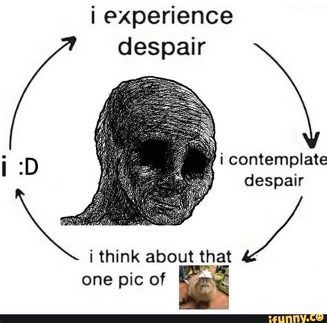 Despair memes. Best Collection of funny Despair pictures on iFunny