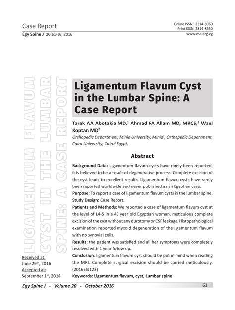 (PDF) Ligamentum Flavum Cyst in the Lumbar Spine: A Case Report