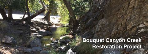 Water Resources Division: Bouquet Canyon Creek Restoration Project