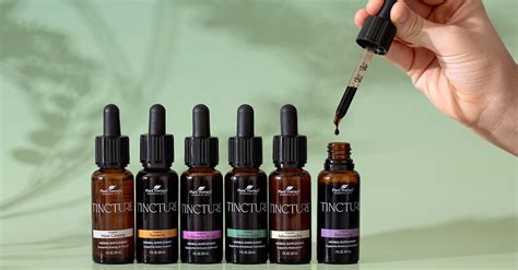 How to Use Tinctures: 6 Recipes to Try All Year Round – Plant Therapy