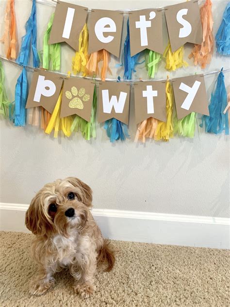 a small dog sitting on the floor in front of a party banner that says ...