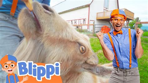 Blippi Farm Animals