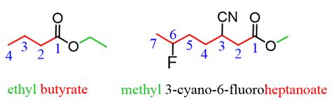 Ester Functional Group Examples