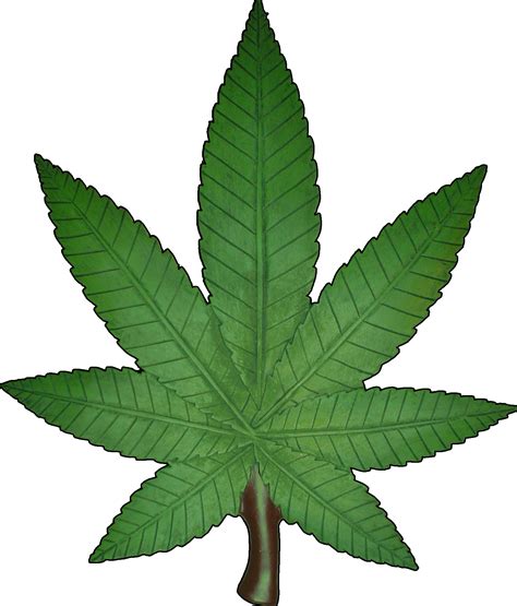 Marijuana Weed Cannabis Leaf Png