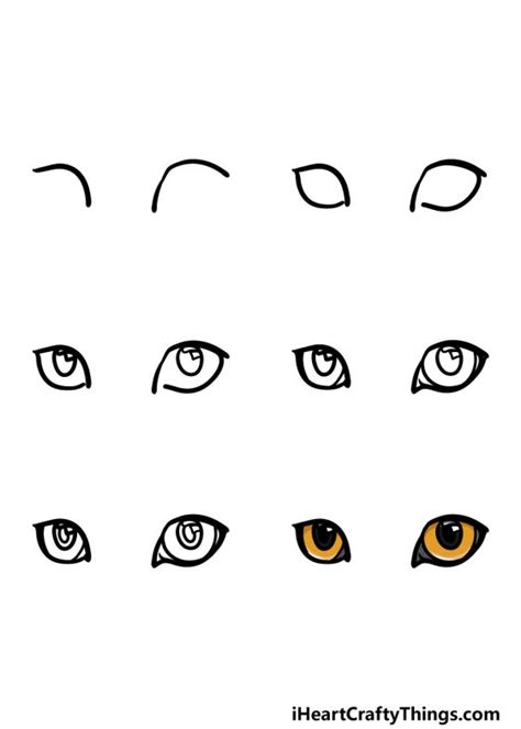 Cat Eyes Drawing - How To Draw Cat Eyes Step By Step