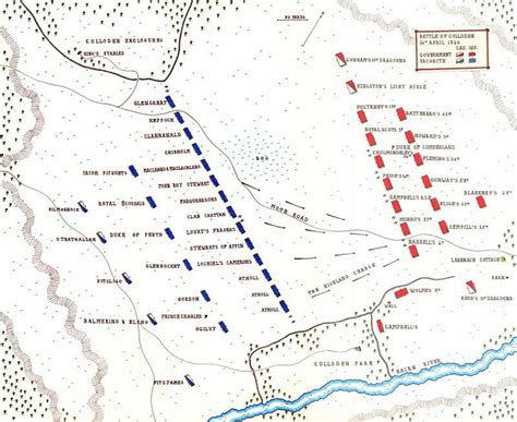 The Battle of Culloden 1746 | Culloden, Battle, Dragonfly in amber