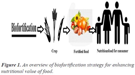 Biofortification: A weapon against hidden hunger.