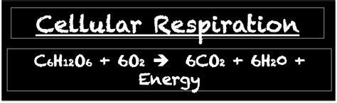 general formula chemosynthesis