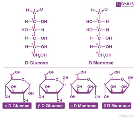 Classification of Carbohydrates - Carbohydrate Definition, Types of ...