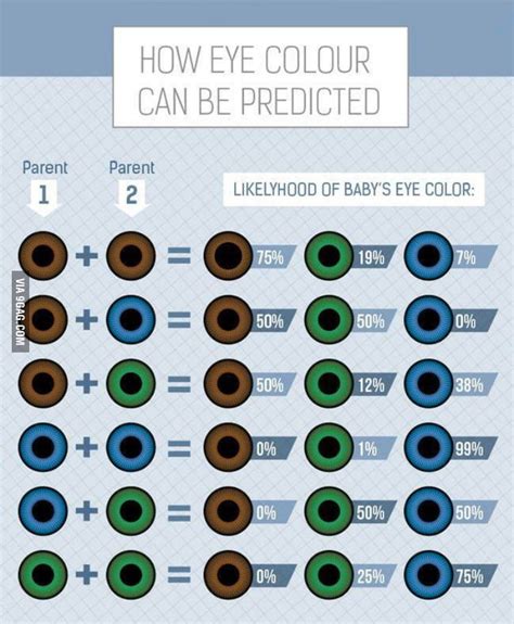 Eye color probability chart - 9GAG