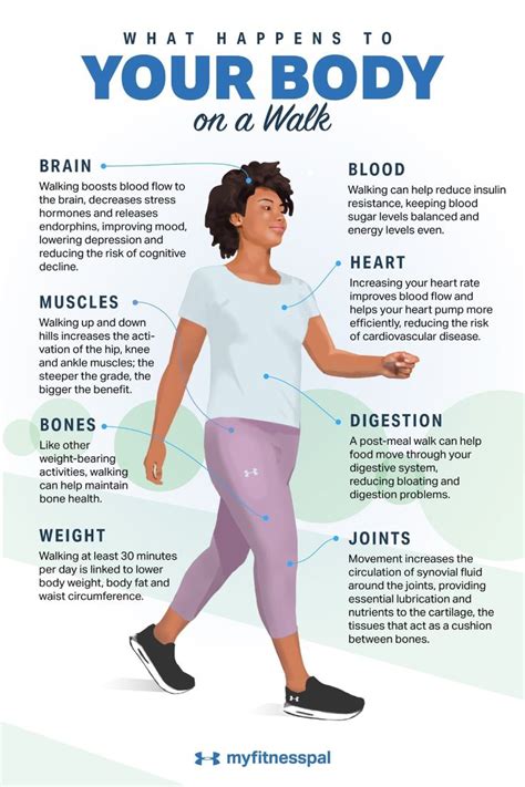 This Is What Happens to Your Body on a Walk | Walking for health ...