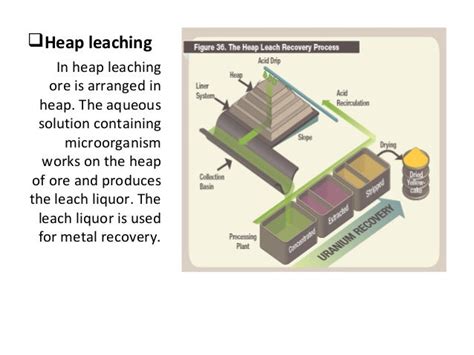 Bioleaching its technique and applications