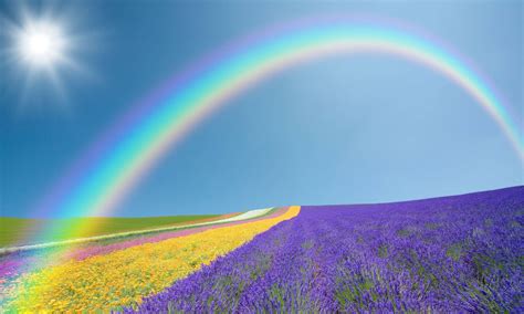 Wallpaper Desktop Rainbow