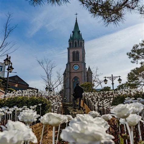 Visit Myeongdong Cathedral Archives - Divert Living