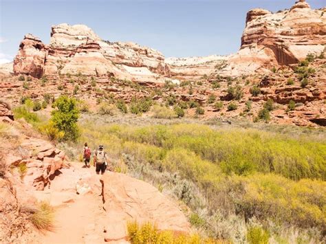 How To Hike Lower Calf Creek Falls: An Extraordinary Hike In Utah