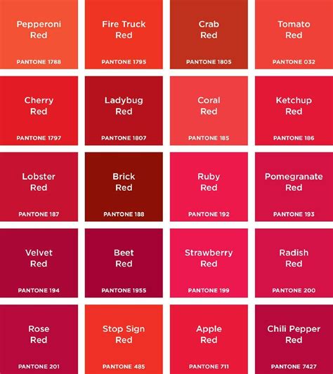 pantone red colors | Pantone red, Pantone color chart, Pantone color