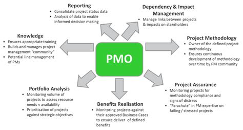 Setting up a PMO - Wellingtone