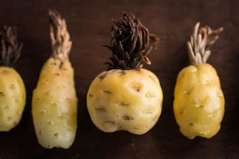 How to Eat Barrel Cactus Fruit