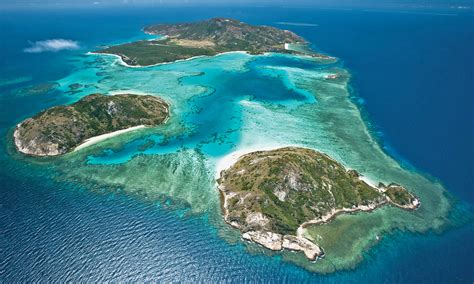 Losing the Pristine: Coral Bleaching strikes in North Great Barrier ...