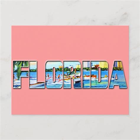 Vintage Florida Postcard | Zazzle