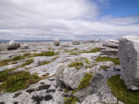 The Story of the Burren | The Burren and Cliffs of Moher UNESCO Global ...