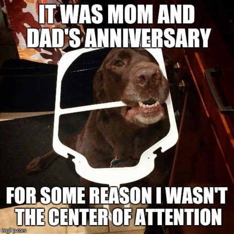 25 Memorable and Funny Anniversary Memes - SayingImages.com