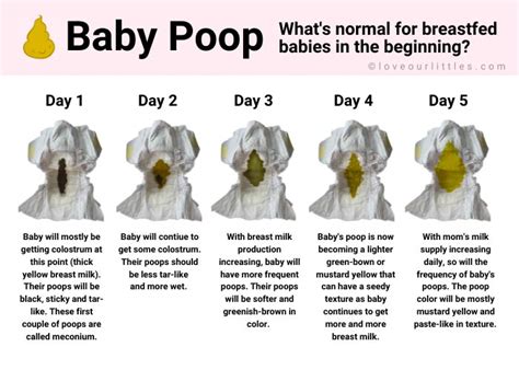 What Should 12 Month Old Baby Poop Look Like at Crystal Stark blog