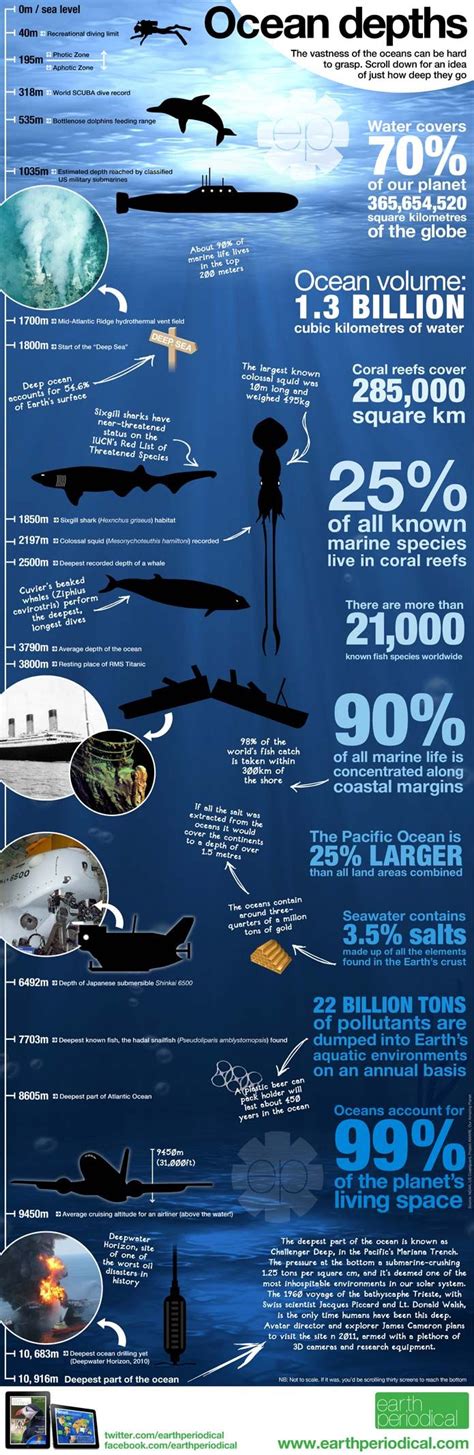 Discover the Fascinating World of Ocean Depths