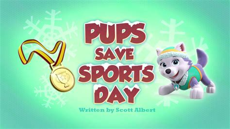 Pups Save Sports Day | PAW Patrol Wiki | Fandom