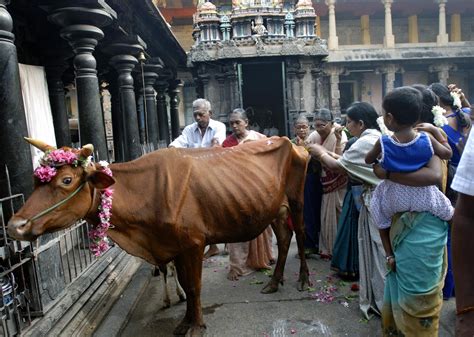 An overview of the ritual world of Hinduism. Hindu Rituals, Religious ...