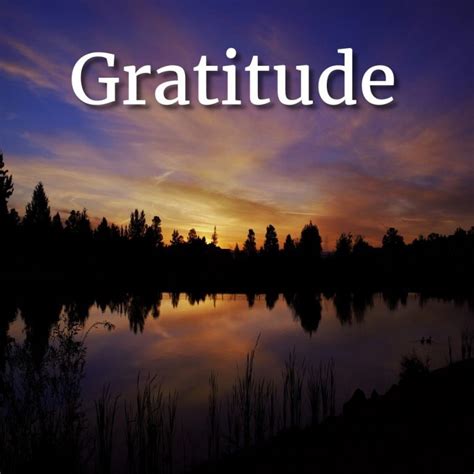 #Gratitude Quotes and Affirmations - Eleesha.com