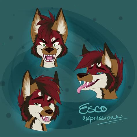 Esco Jackal | Furry Amino