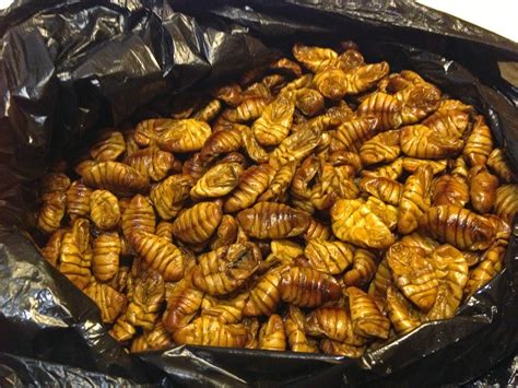 Silkworm Snack - Eating Beondegi in South Korea | Koreners Blog