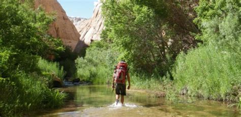 Why and How to Hike the Escalante River | REI Co-op Adventure Center