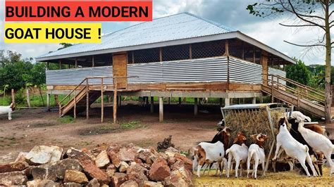 How To Construct A Modern GOAT House And The COST| Simple And Easy ...