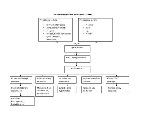 Pathophysiology of bronchial asthma