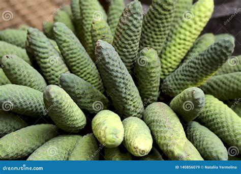 A Group of Large Exotic Green Oval-shaped Fruits in a Basket on the ...