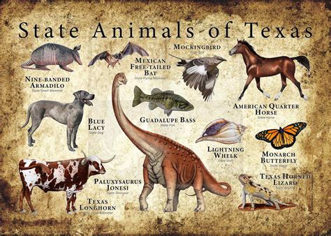 Texas State Animals Poster Print - inkart