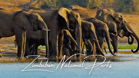 Zimbabwe National Parks - Our Guide to 8 Great National Parks