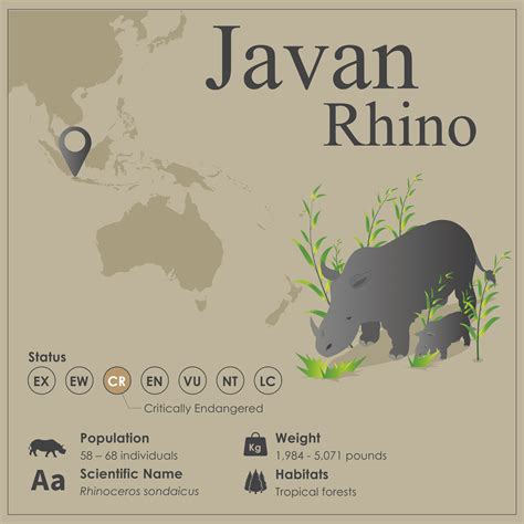 Javan Rhinoceros Animal Facts | Rhinoceros Sondaicus | AZ Animals