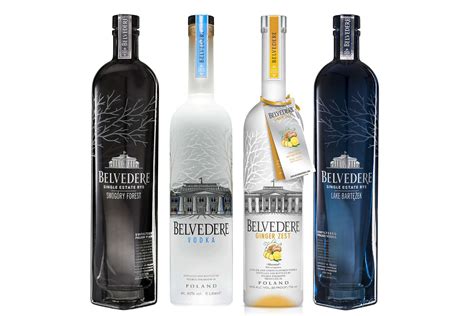 10 Most Popular Premium Vodka Brands