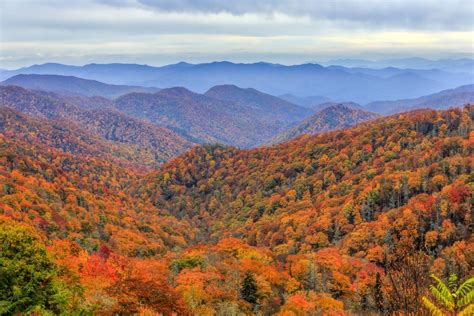 Fall Foliage in the Smoky Mountains – My Bear Foot Cabins