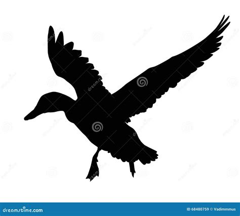 Vector duck stock vector. Illustration of graphic, nature - 68480759