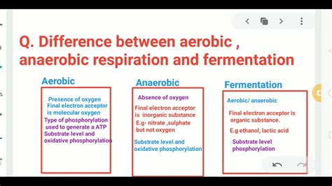 What Is Difference Between Anaerobic Respiration And Fermentation ...