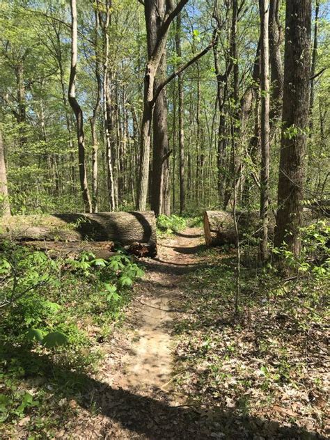 Sycamore Ridge Mountain Bike Trail in New Harmony, Indiana - Directions ...