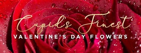 Valentines Day Flowers | Free Delivery | Serenata Flowers