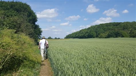 The Battle of Stoke Field - 1487 | Nottinghamshire County Council