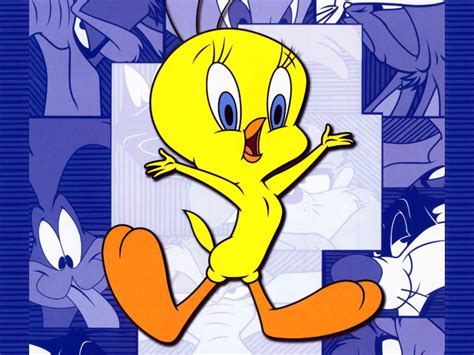 Tweety - Looney Tunes Wallpaper (1990610) - Fanpop - Page 6