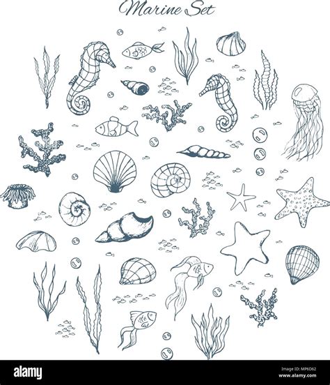 Sea Life Outlines